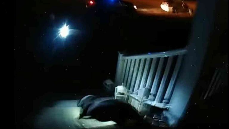 Indiana officer caught on video kicking pit bull near school fired