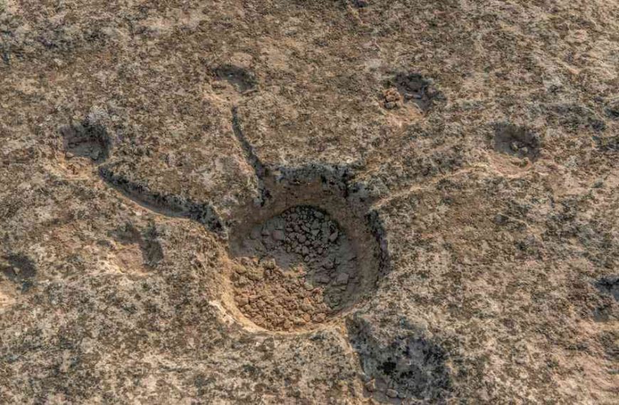 Qatar’s desert regions discover mysterious symbols carved into the ground